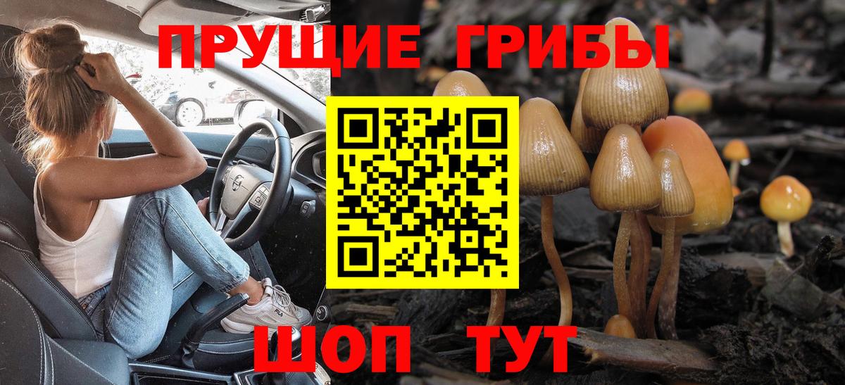 Псилоцибиновые грибы ЛСД Трёхгорный